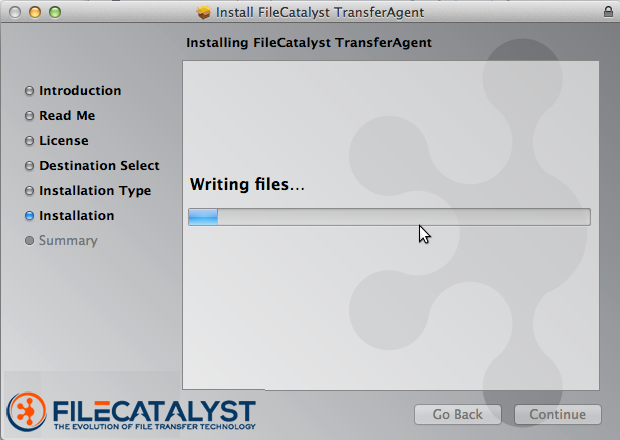 Install Wizard Step 5 - Install files to Hard Drive